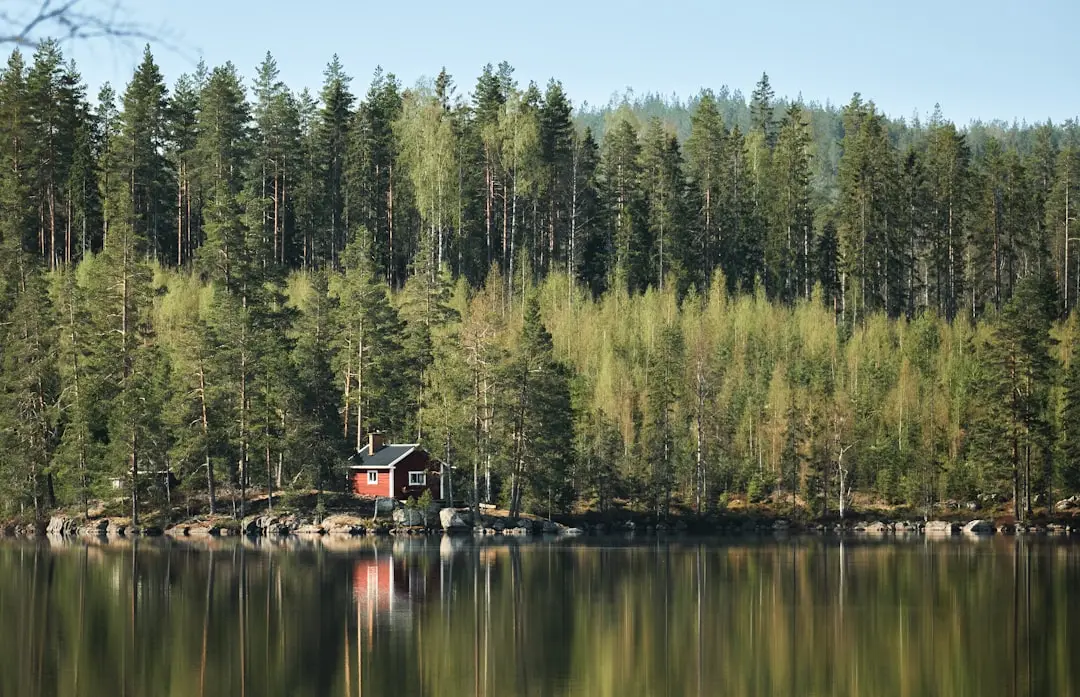 Upptäck sommarens bästa camping i Dalarna illustration